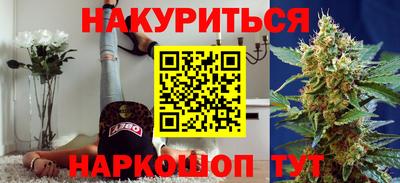 СК Бийск