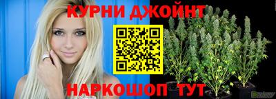 apvp Берёзовский