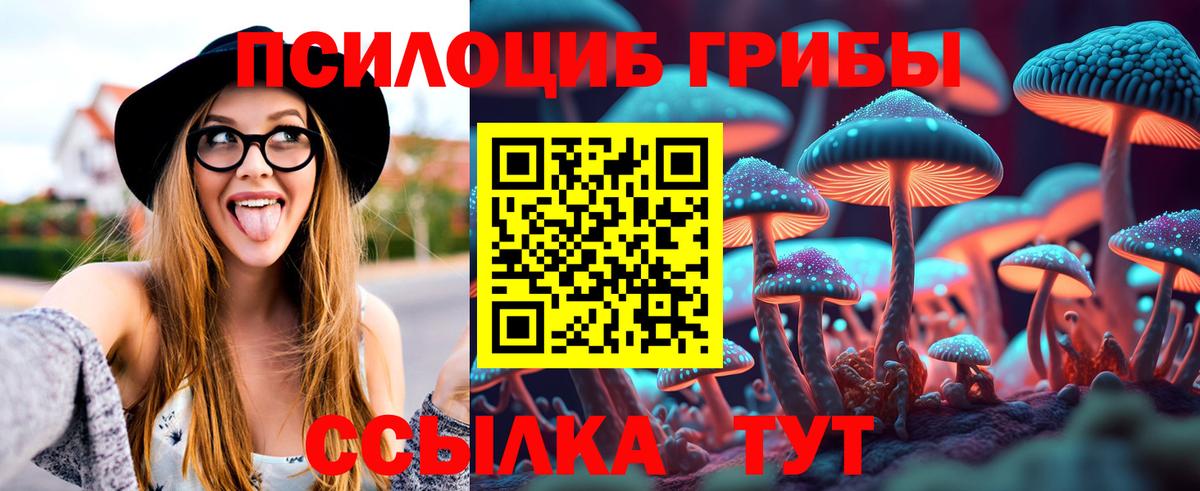 Бердск  Псилоцибиновые грибы MAGIC MUSHROOMS  Вход с VPN  купить наркотики цена  Псилоцибиновые грибы GOLDEN TEACHER 