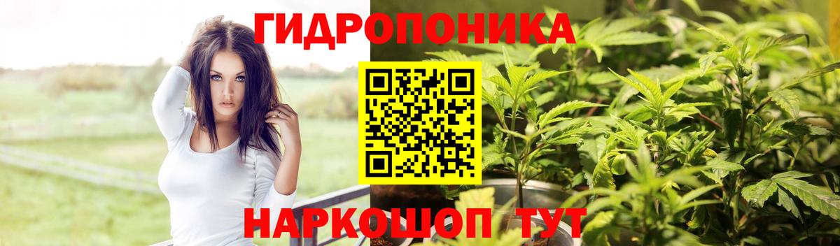 Каннабис конопля  Шишки марихуана гибрид  Бердск  Вход с VPN 